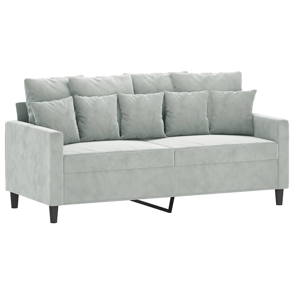 Light Gray Velvet 2-Seater Sofa T2265