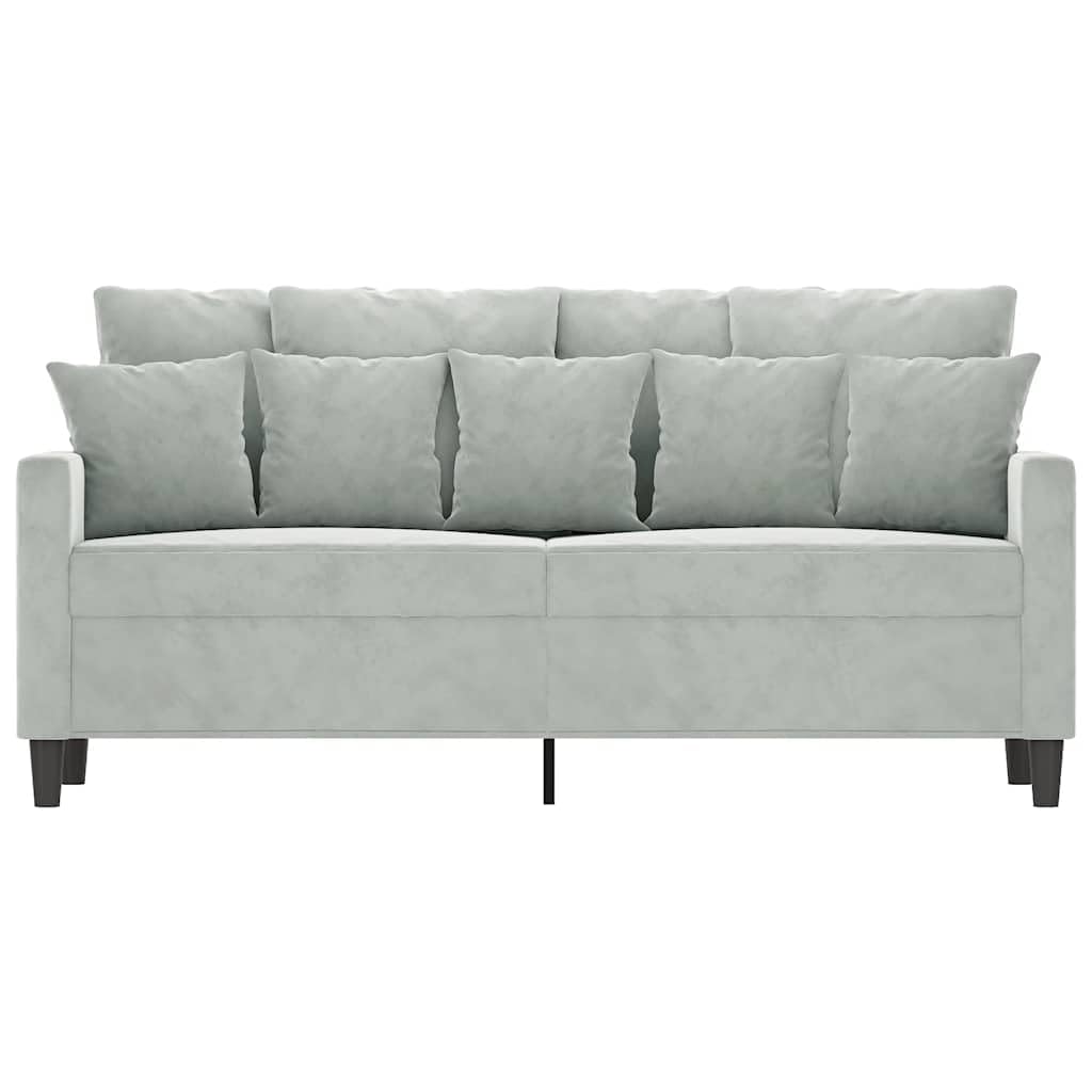 Light Gray Velvet 2-Seater Sofa T2265