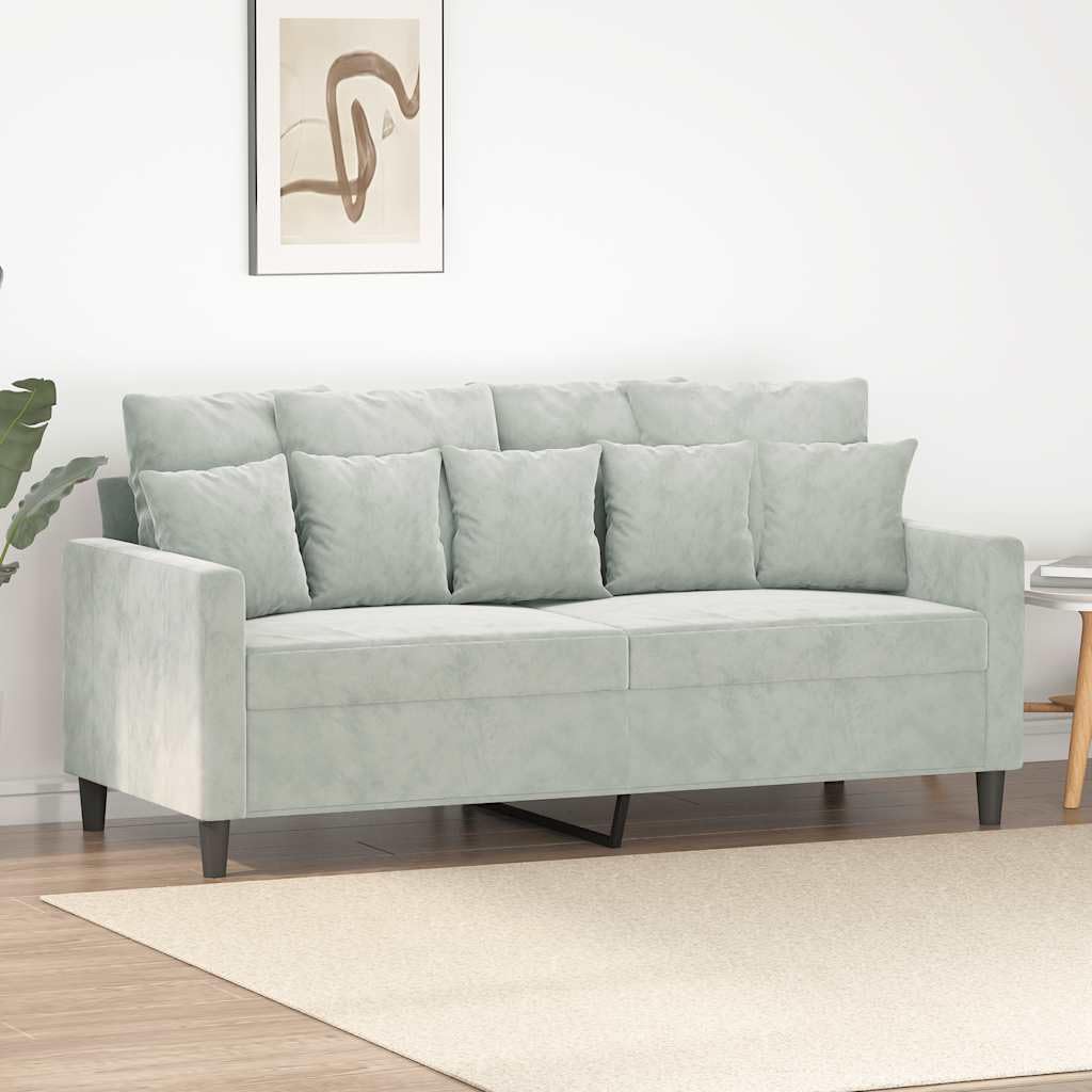 Light Gray Velvet 2-Seater Sofa T2265