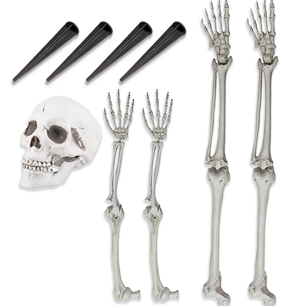 Life-Size Skeleton Halloween Decoration E98776