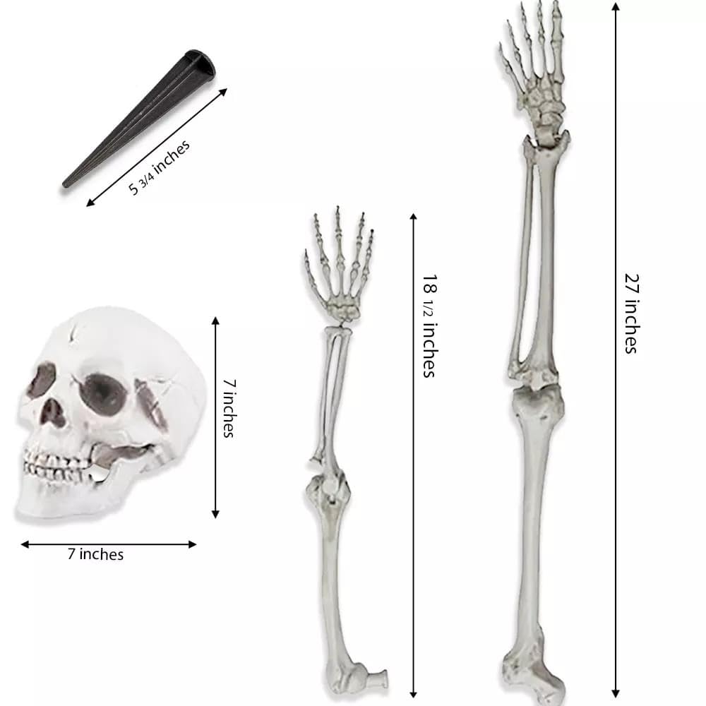 Life-Size Skeleton Halloween Decoration E98776