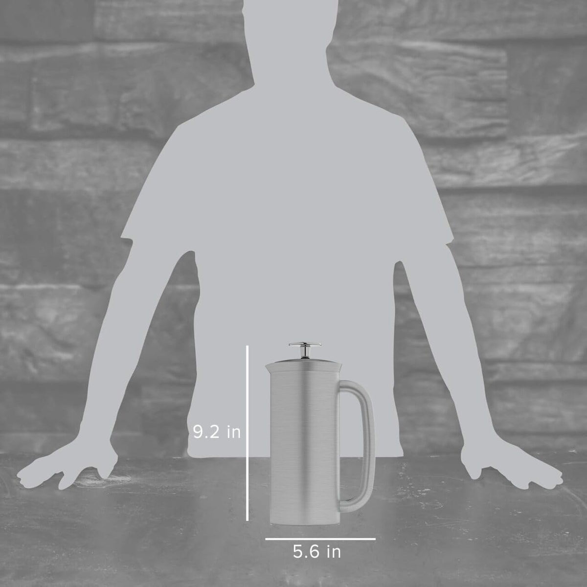 18oz Brushed Stainless Steel French Press D168