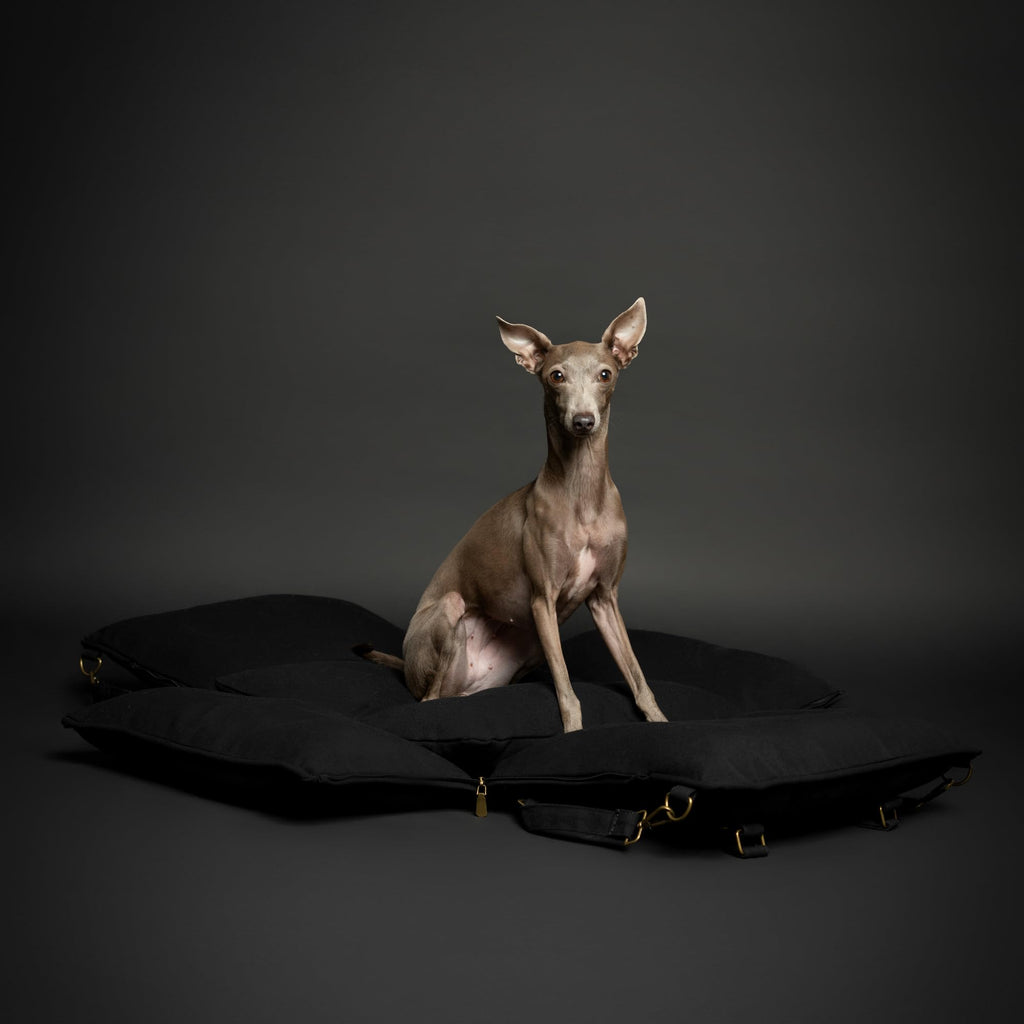 Canvas Dog Car Seat Booster I485