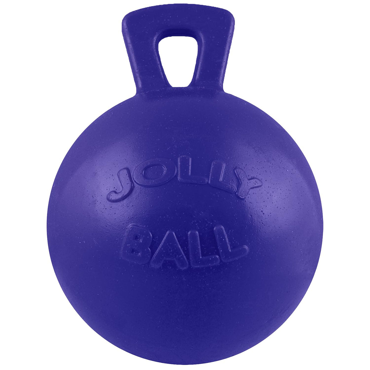 Dog 10-Inch Tug-n-Toss, Blue A63467