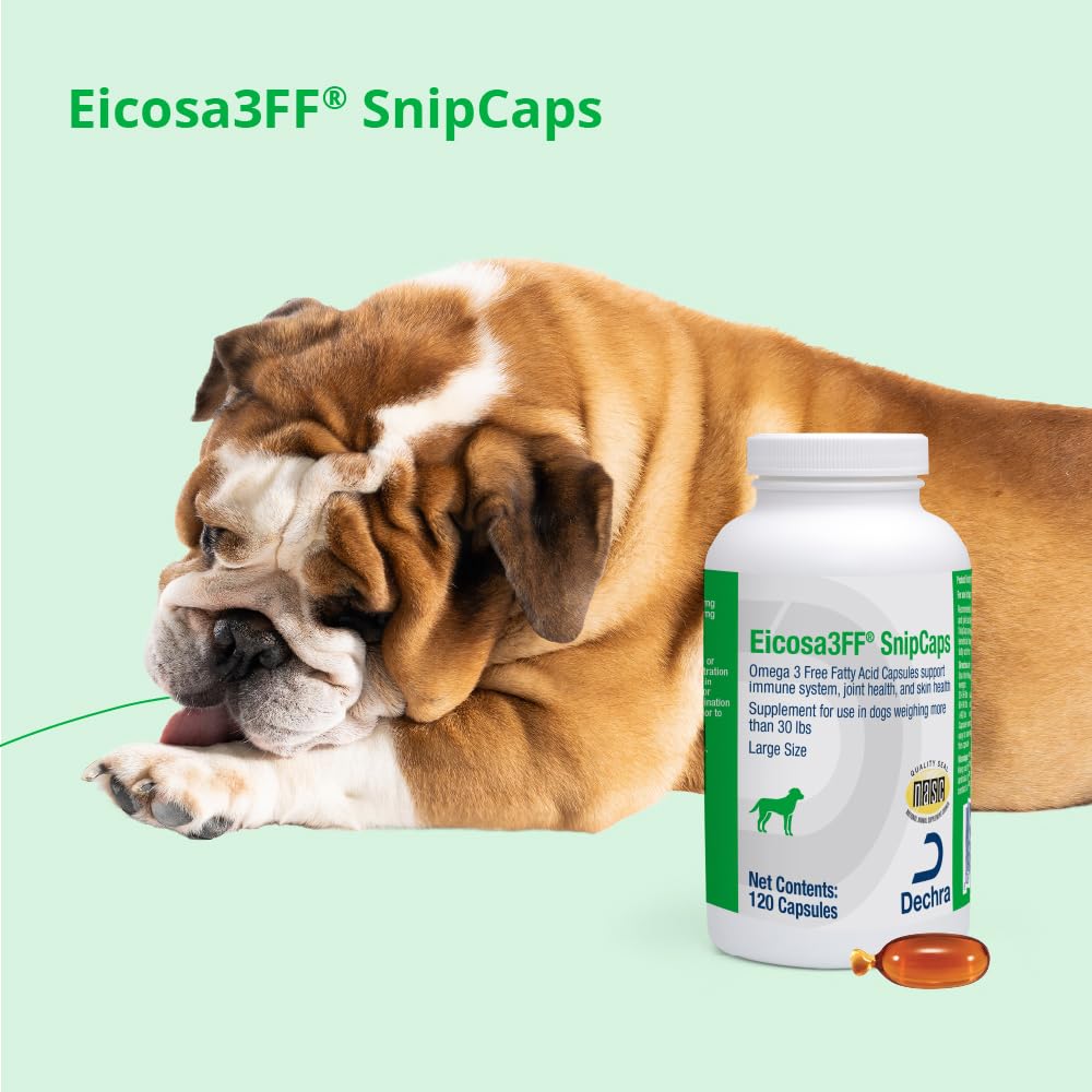 Omega 3 Free Fatty Acid Capsules 120 Capsules K79796