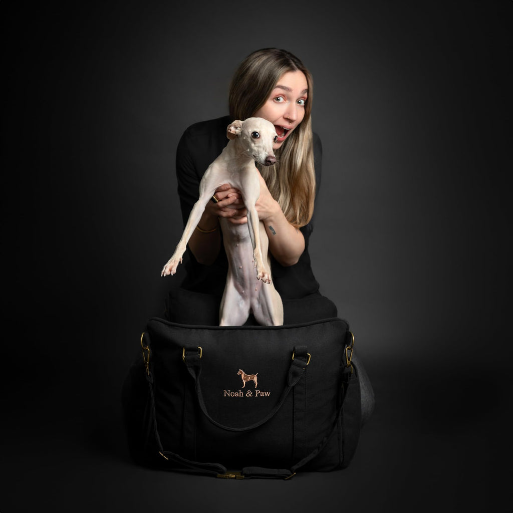 Canvas Dog Car Seat Booster I485