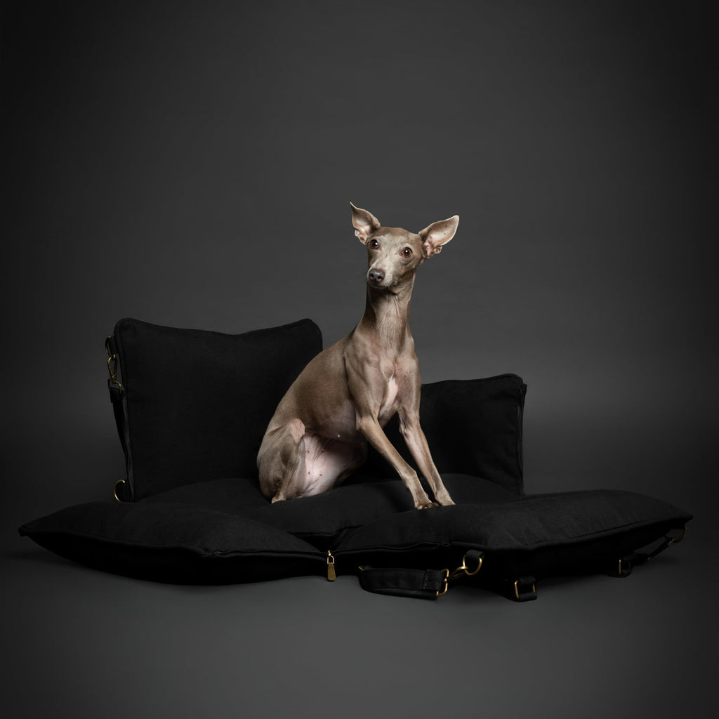 Canvas Dog Car Seat Booster I485