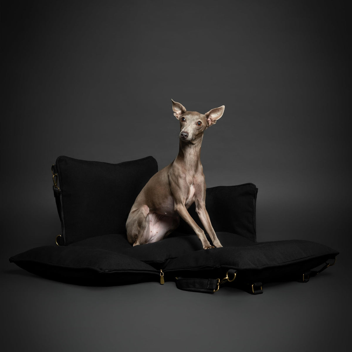 Canvas Dog Car Seat Booster I485