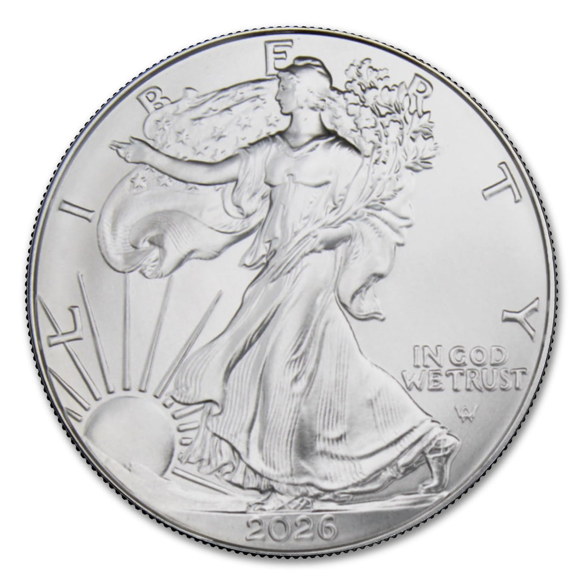 1 oz American Silver Eagle Coin Brilliant Uncirculated X629517