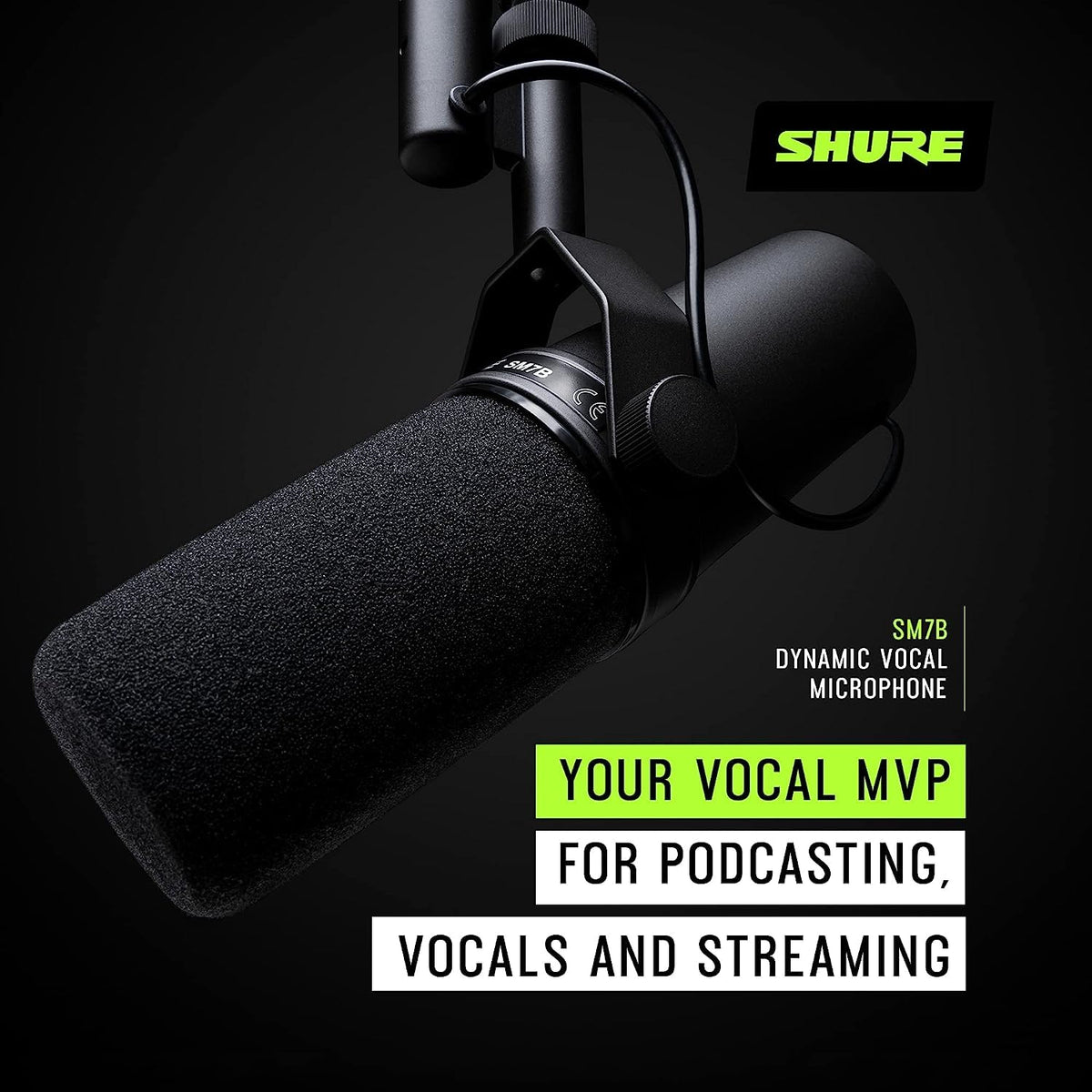 Dynamic Vocal Microphone with XLR Cable A520820