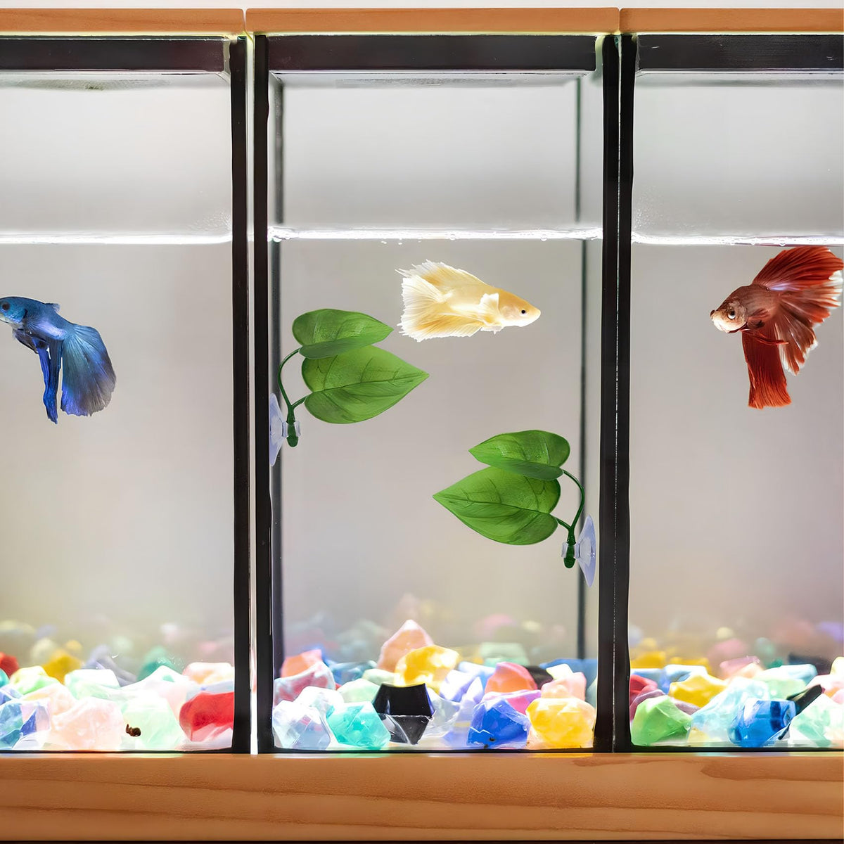 Betta Fish Leaf Hammock, 2 PCS Aquarium Decor I476020