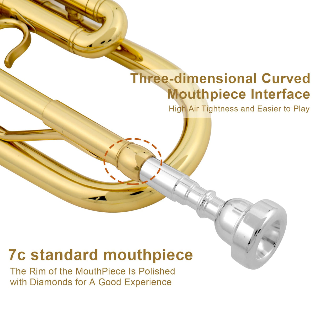 Bb Standard Trumpet Set V12653