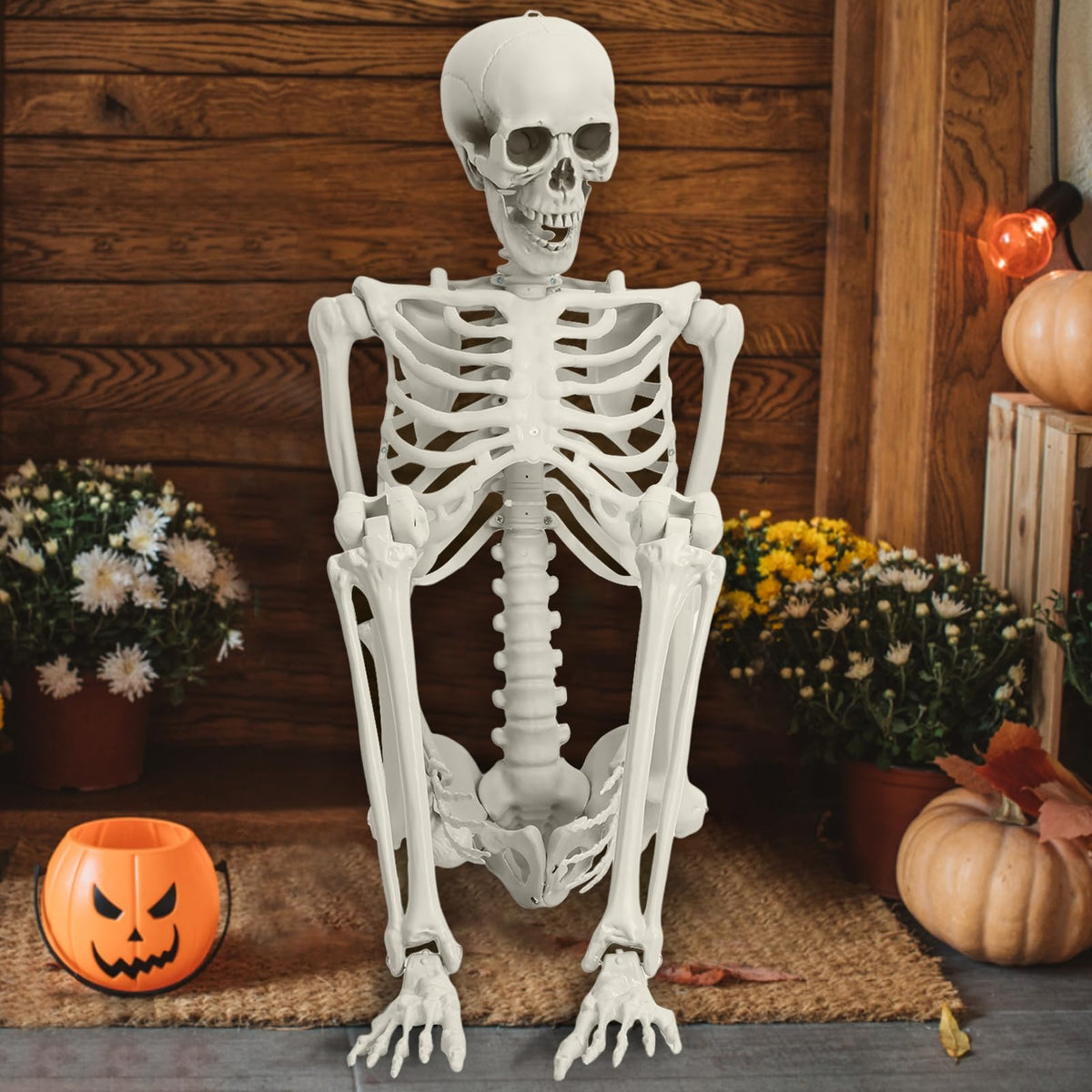 165cm Posable Full Body Skeleton P781