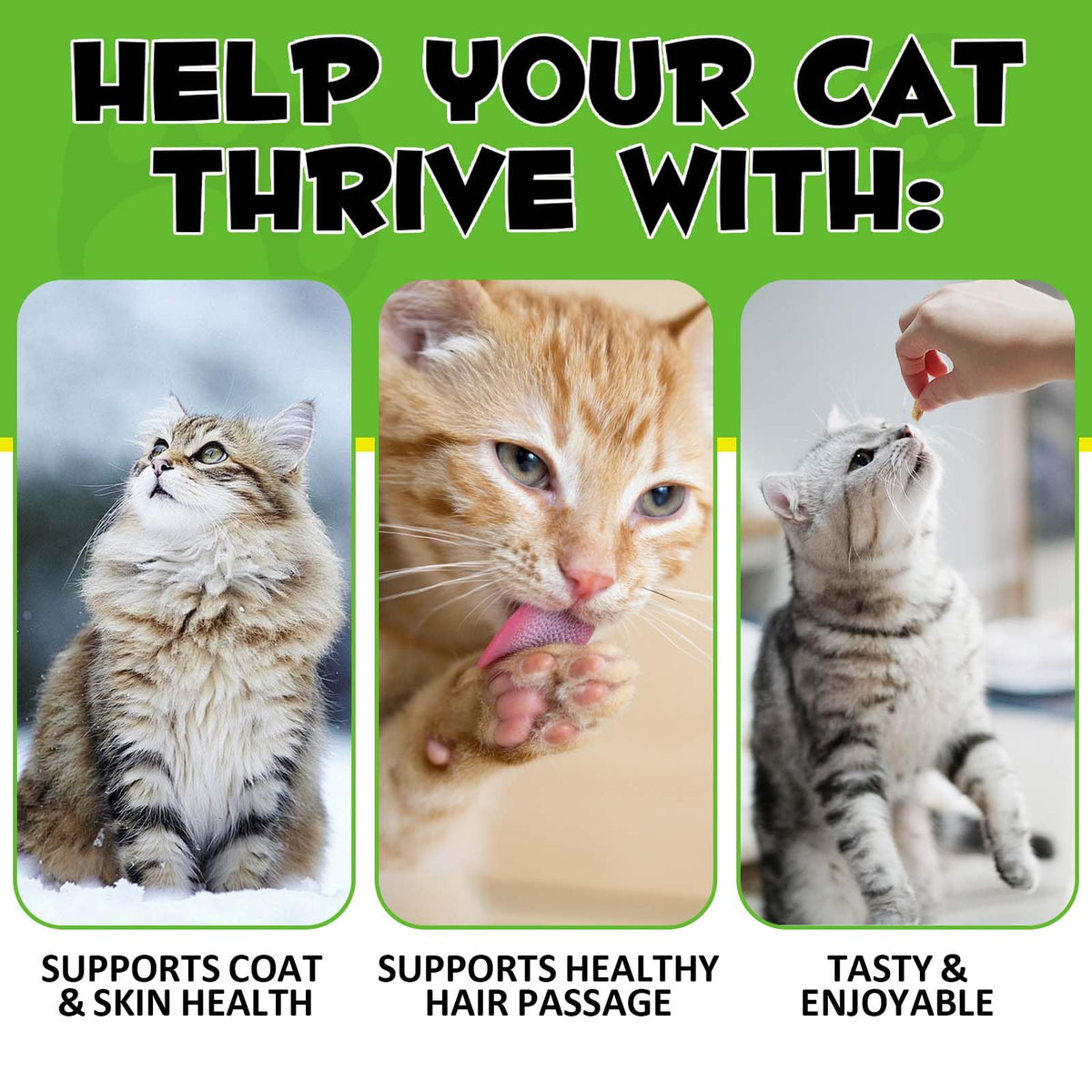 Chicken Omega-3 Fiber Supplement for Cats N7523