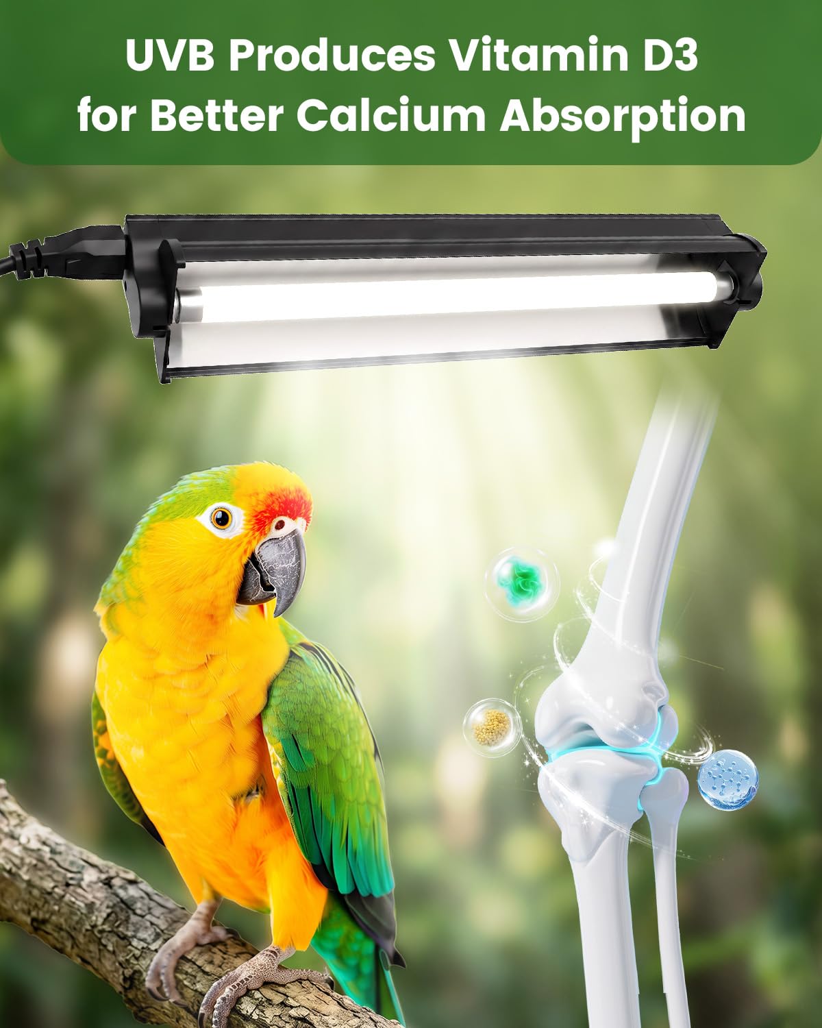 8W Bird Lamp H7879