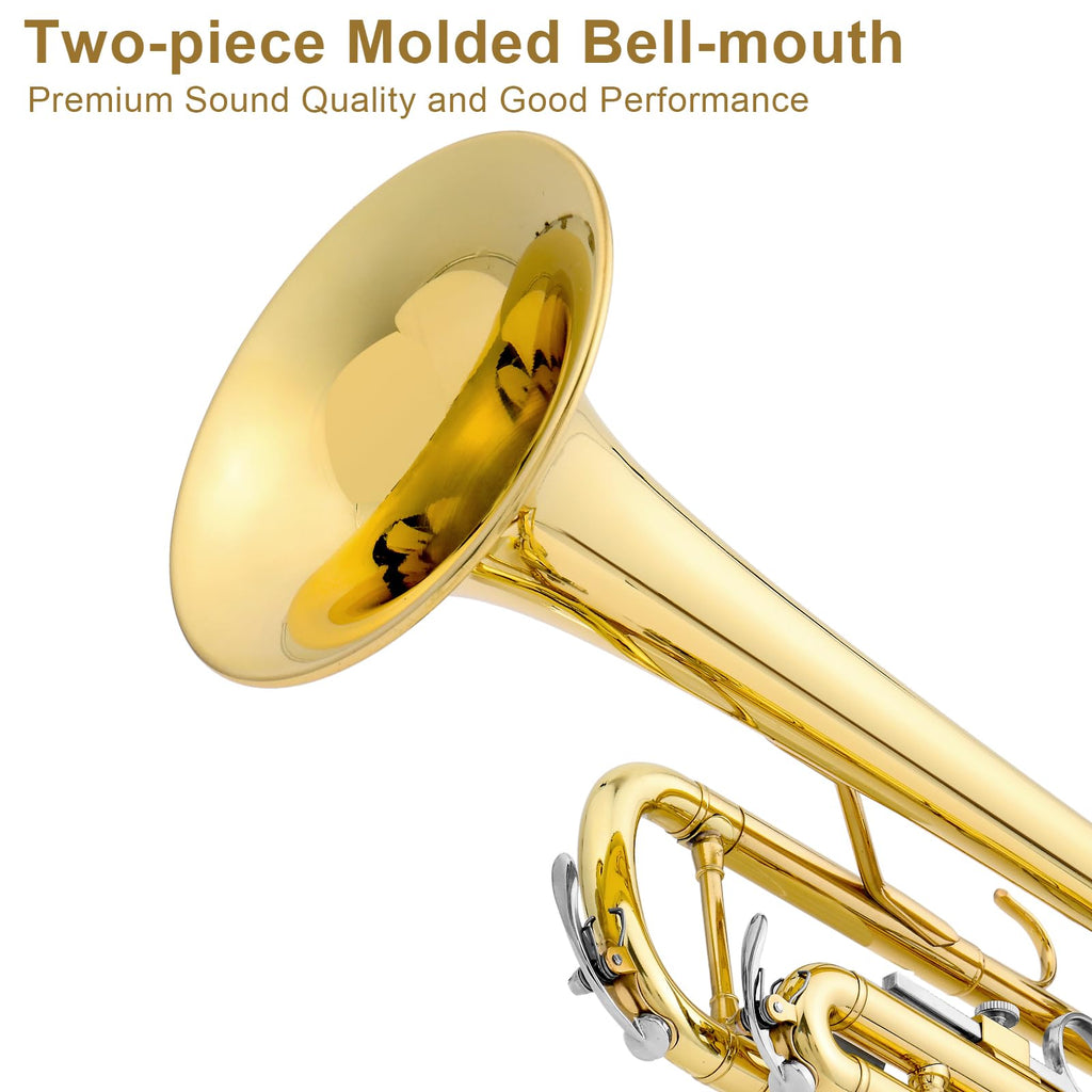Bb Standard Trumpet Set V12653