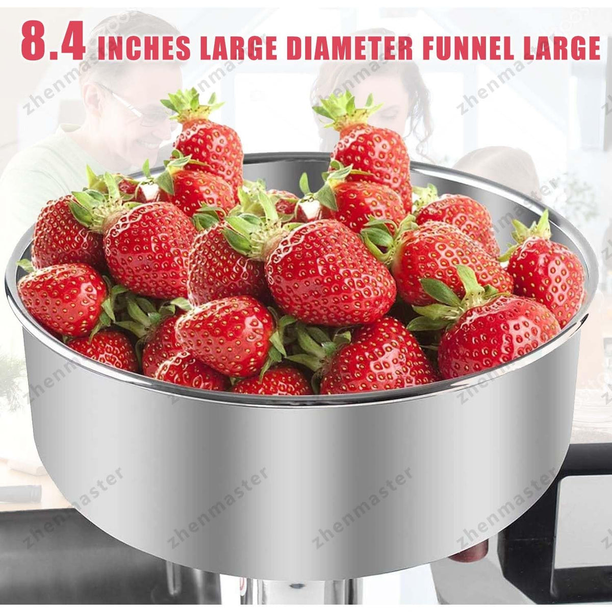 450W Stainless Steel Tomato Strainer Z6121