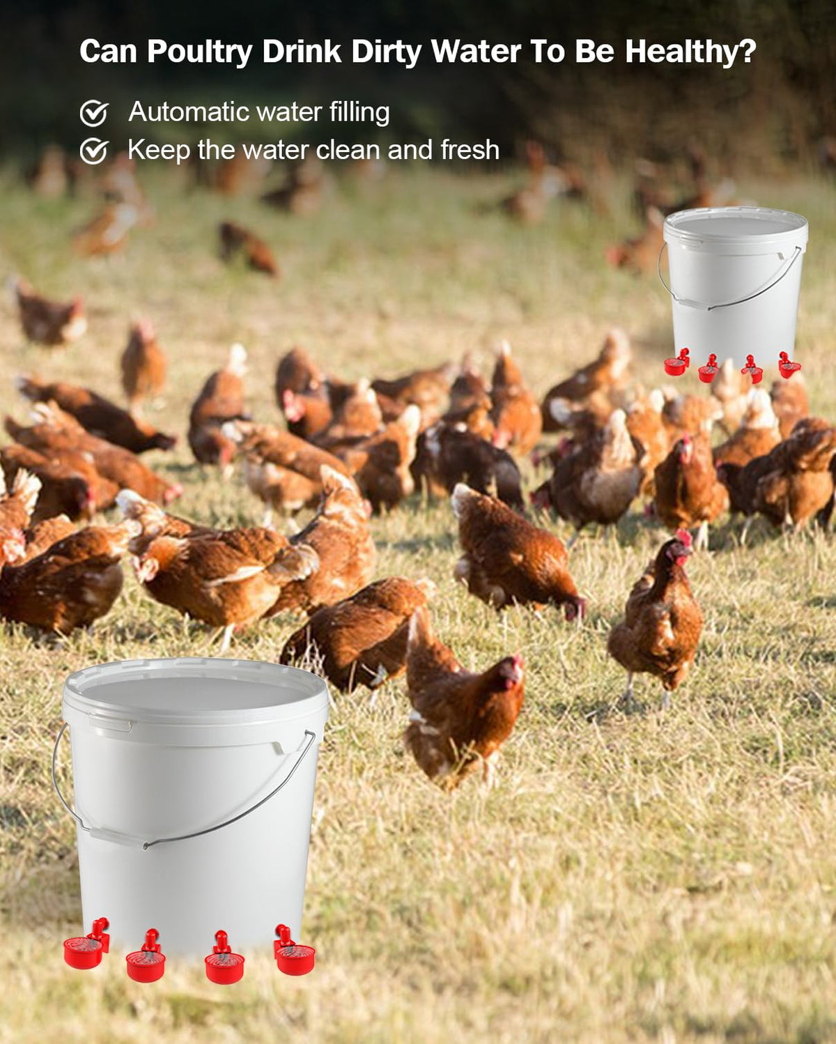 30 Packs Large Automatic Poultry Water Feeder Cups with Tee Fittings N7102