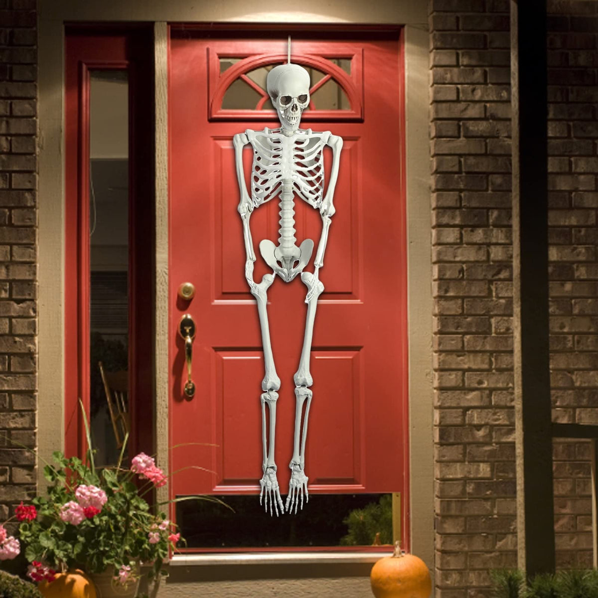165cm Posable Full Body Skeleton P781