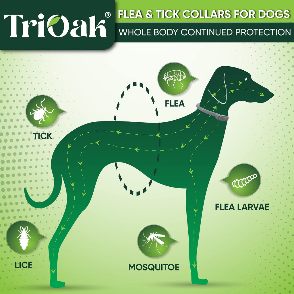 Adjustable Flea and Tick Prevention Dog Collar J348