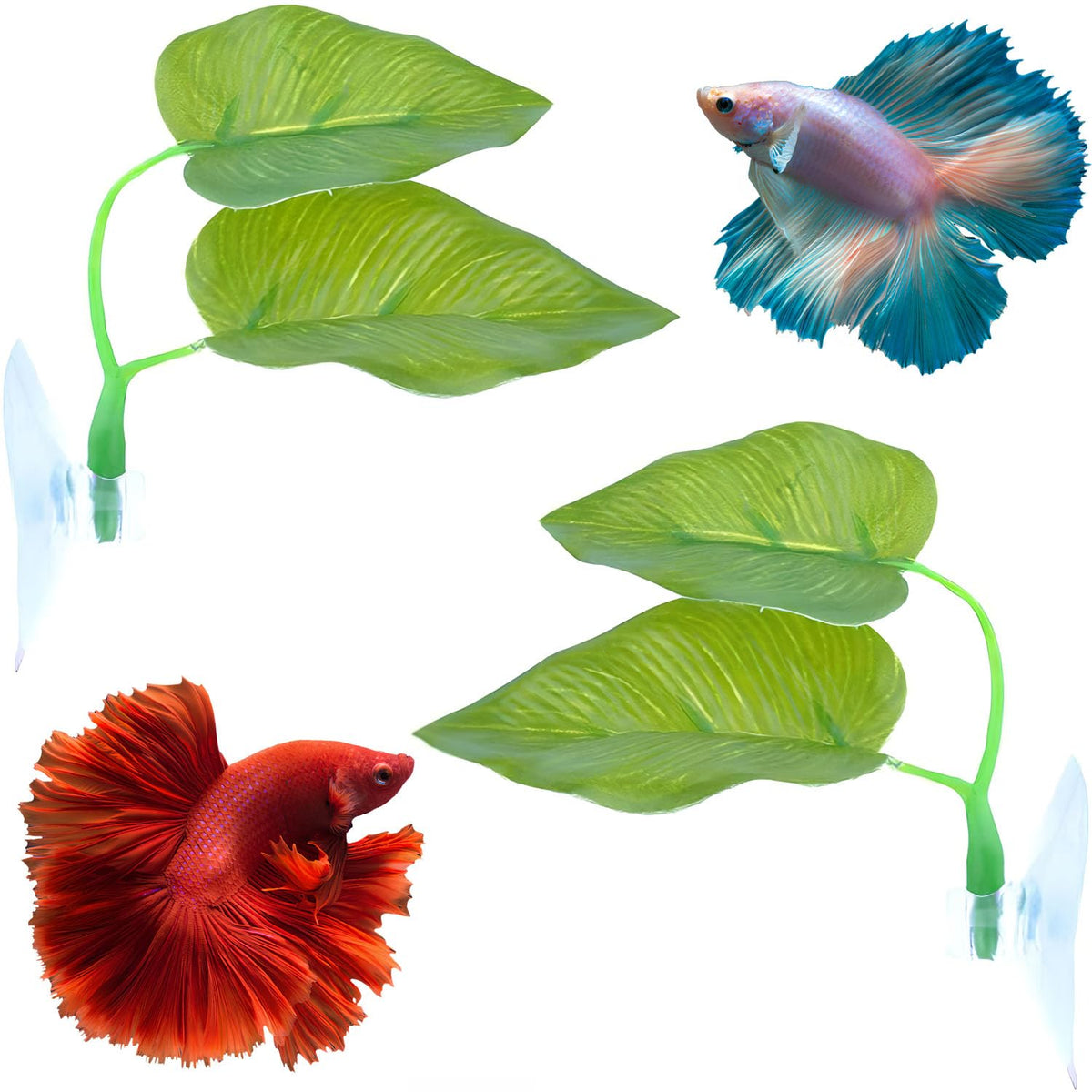 Betta Fish Leaf Hammock, 2 PCS Aquarium Decor I476020