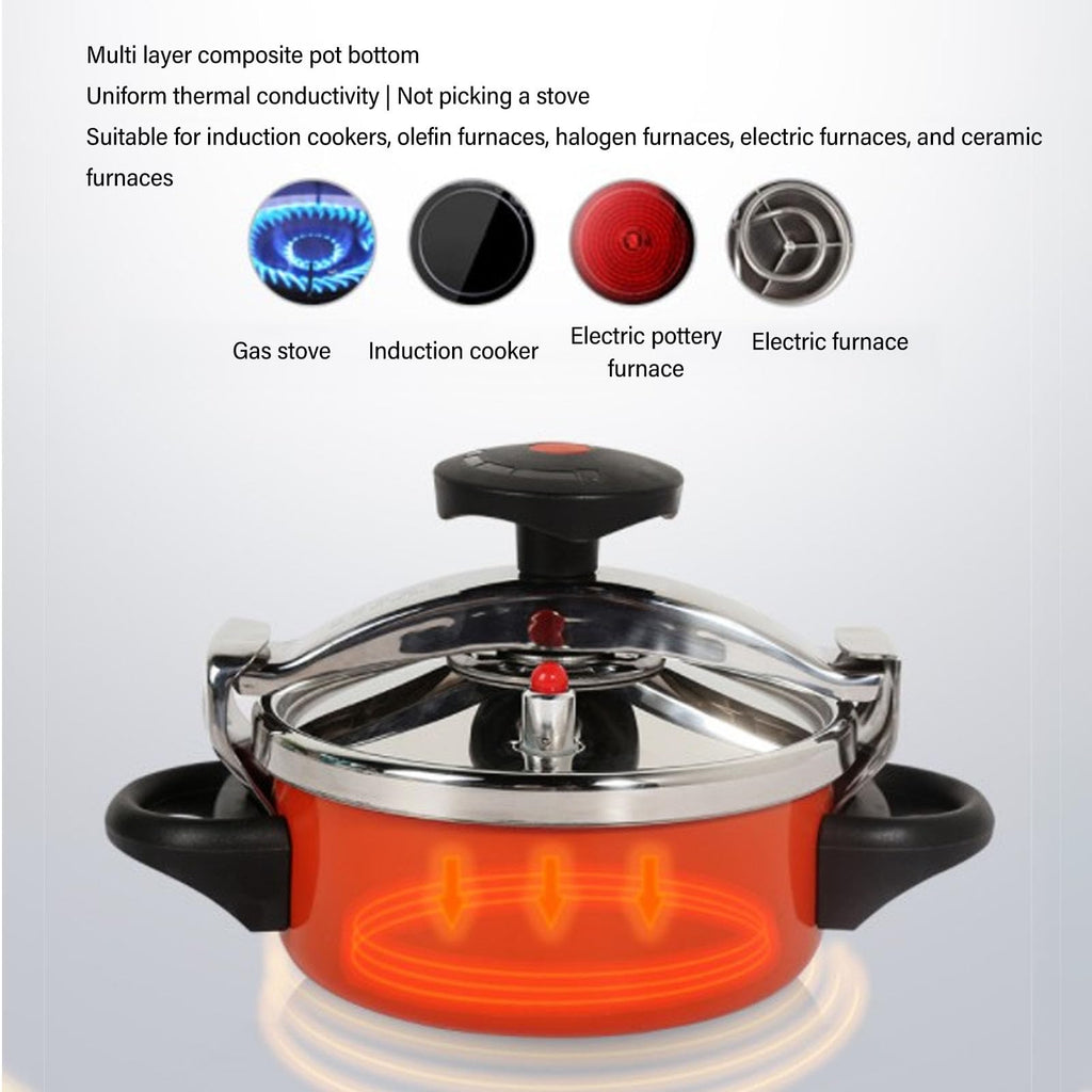 Stainless Steel Pressure Cooker Canner K9060