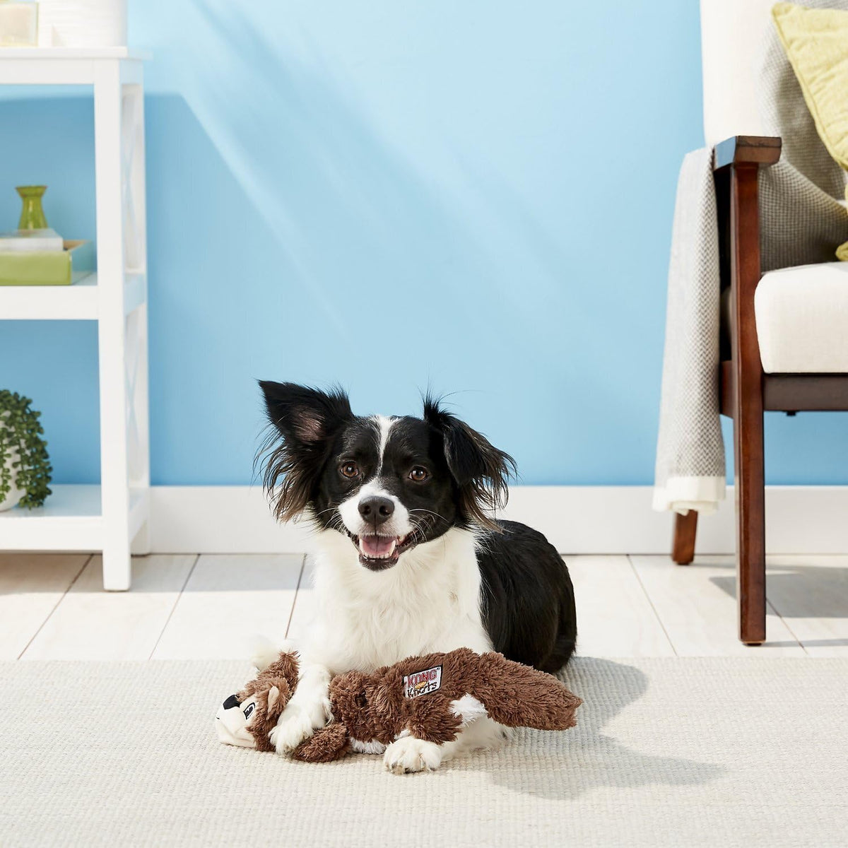 2 Pack Stuffing-Free Plush Dog Toy with Knotted Ropes & Squeaker M41697