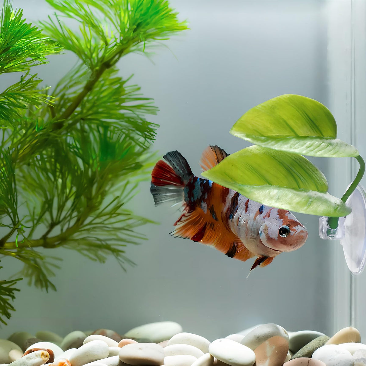 Betta Fish Leaf Hammock, 2 PCS Aquarium Decor I476020