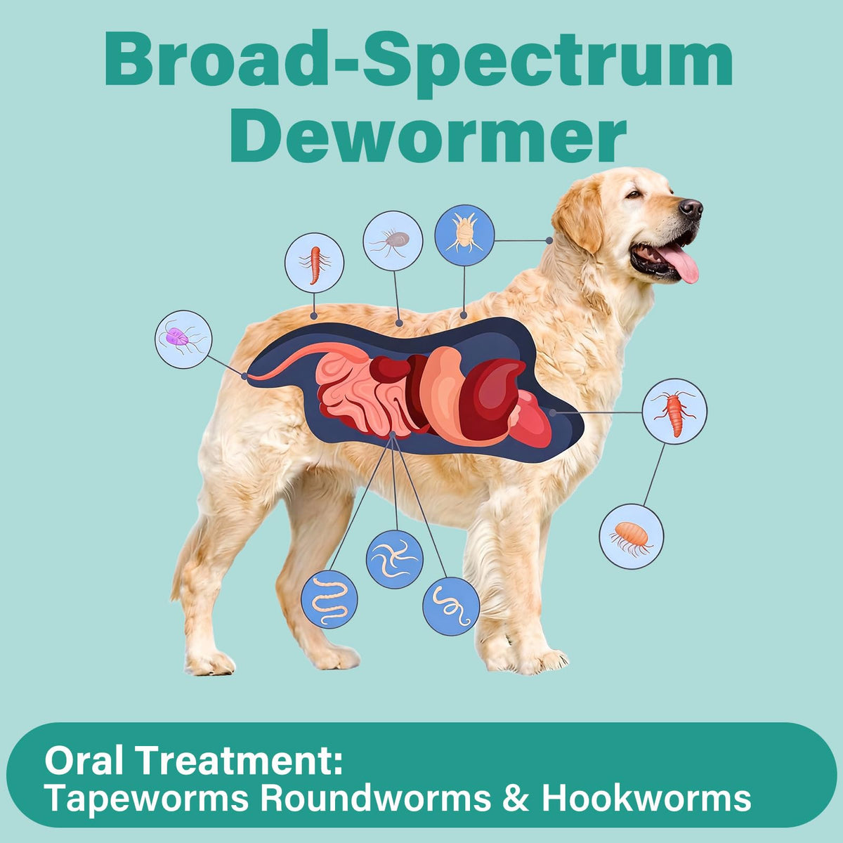 Large Dog & Puppy Oral Worm Remover 50 Tablets D530