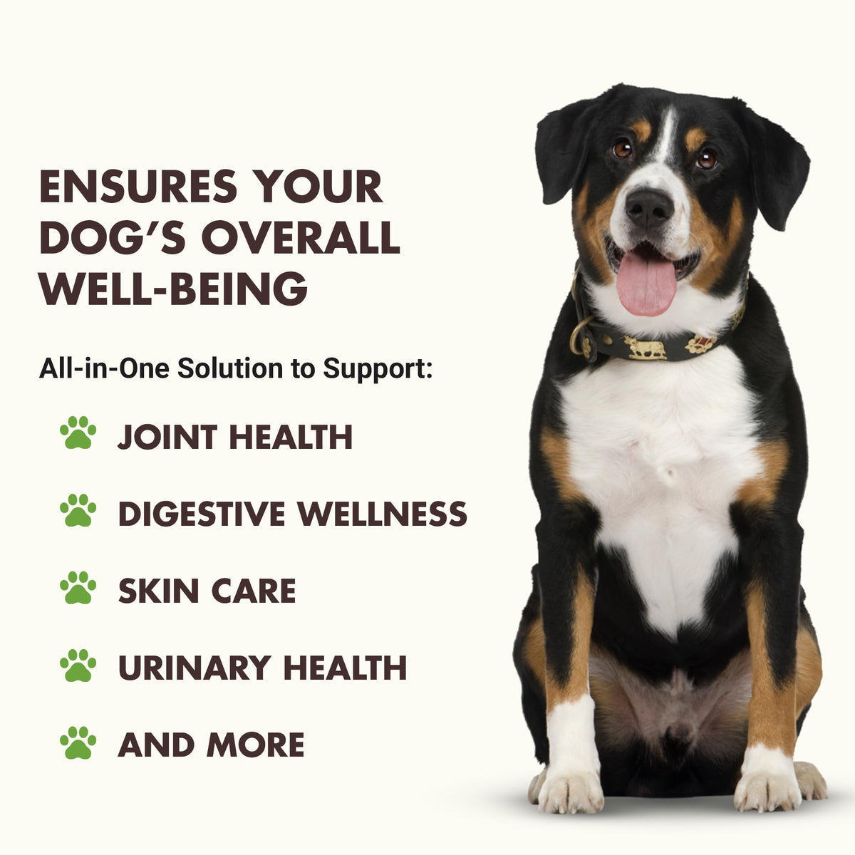 10-in-1 Dog Support 32 oz Unflavored S893360