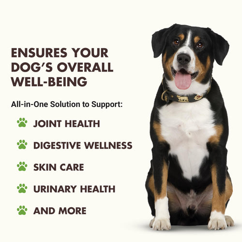 10-in-1 Dog Support 32 oz Unflavored S893360
