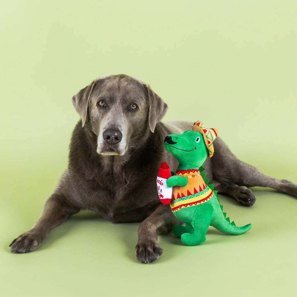 Plush Dog Toy L25831