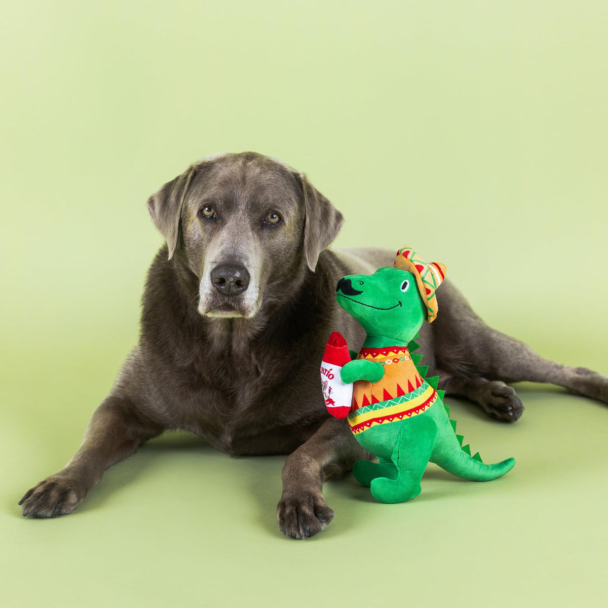 Plush Dog Toy L25831