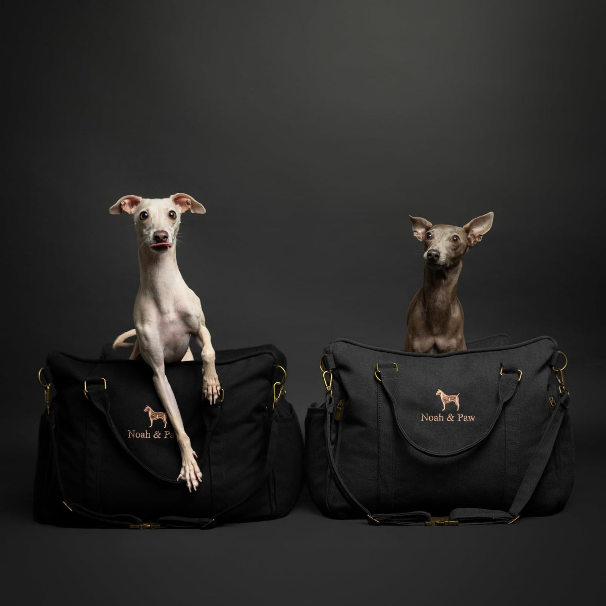 Canvas Dog Car Seat Booster I485