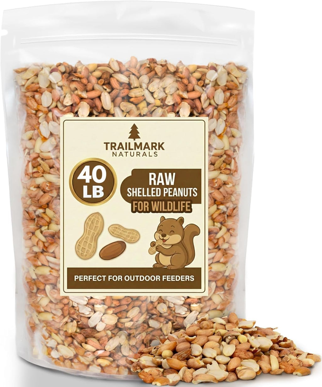 Raw Shelled Peanuts O20390