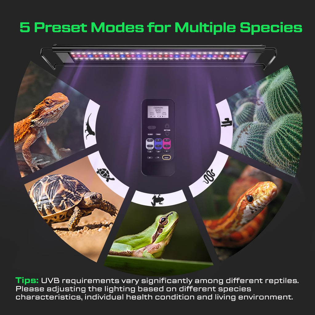 8-Inch UVB Reptile Light Fixture R20784