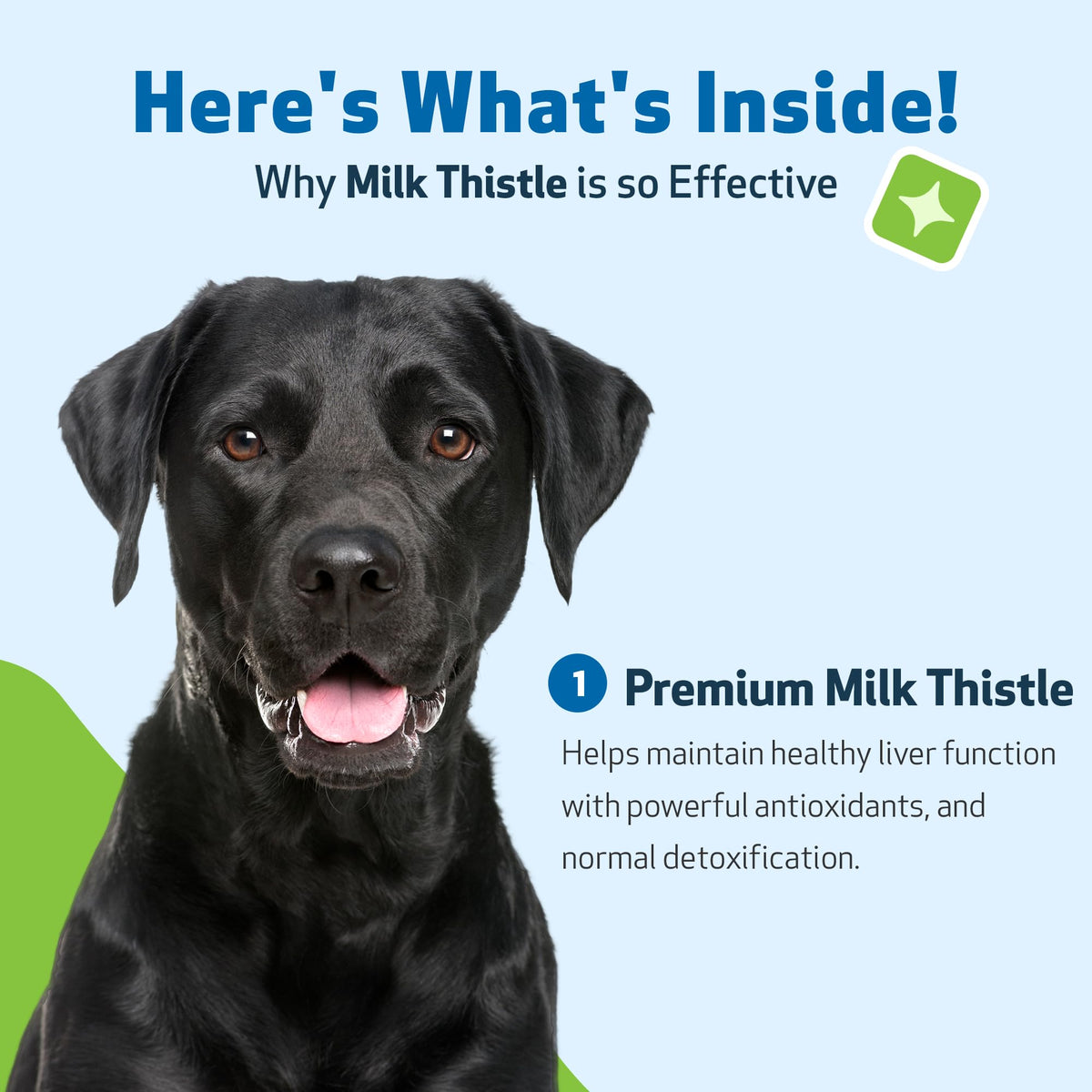 Milk Thistle for Dogs 2 oz N819