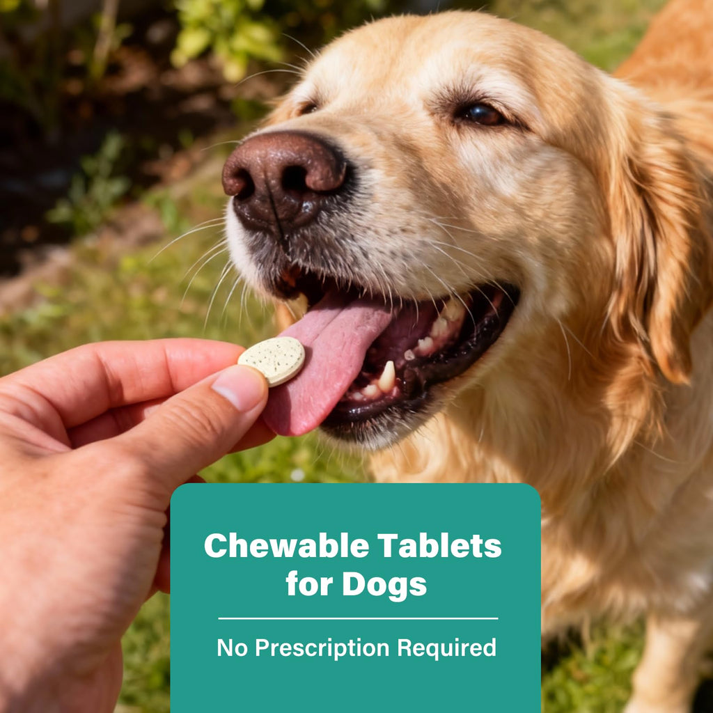 Large Dog & Puppy Oral Worm Remover 50 Tablets D530