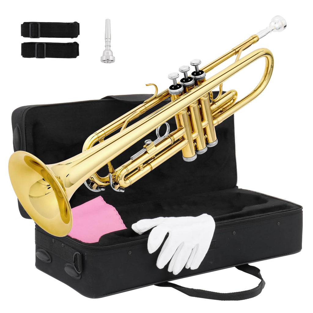 Bb Standard Trumpet Set V12653