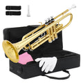 Bb Standard Trumpet Set V12653