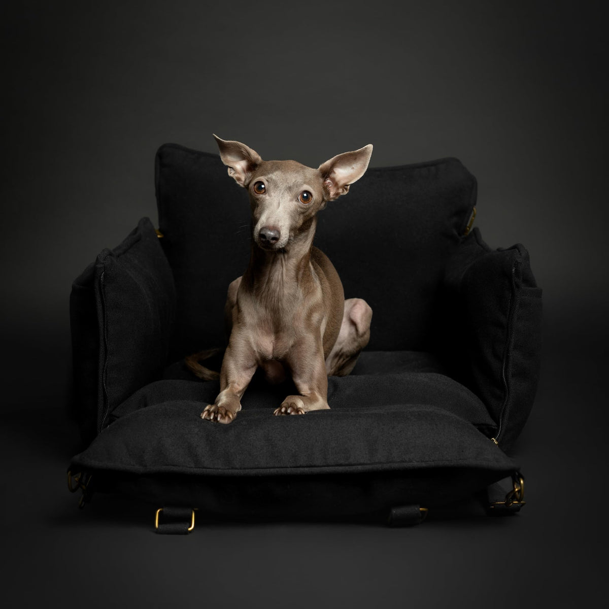 Canvas Dog Car Seat Booster I485