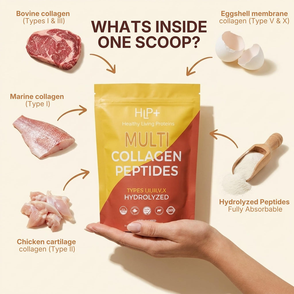 Multi Hydrolyzed Collagen Peptides Type I, II, III, V, & X Grass Fed Bovine Wild Caught Marine Free Range Chicken Gluten Free Unflavored 1 Pound Q92927