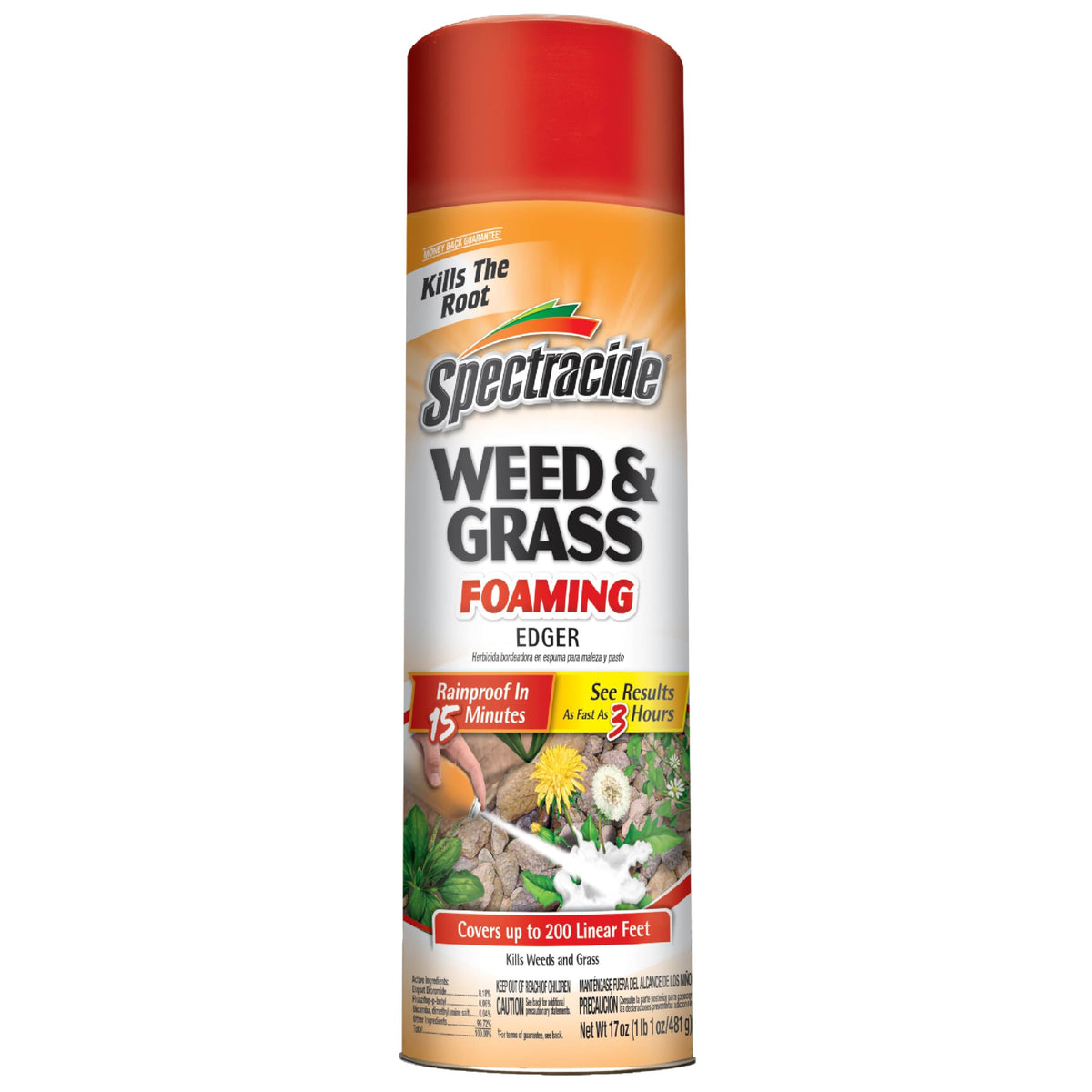 Weed & Grass Foaming Edger Aerosol 17 Oz T790188