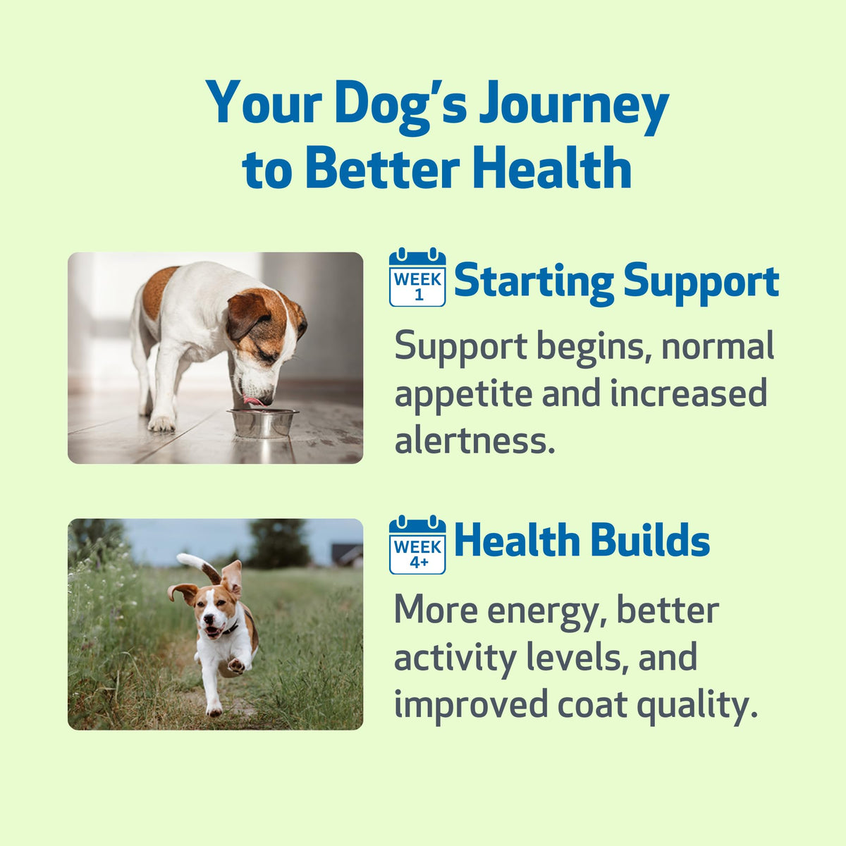 Milk Thistle for Dogs 2 oz N819