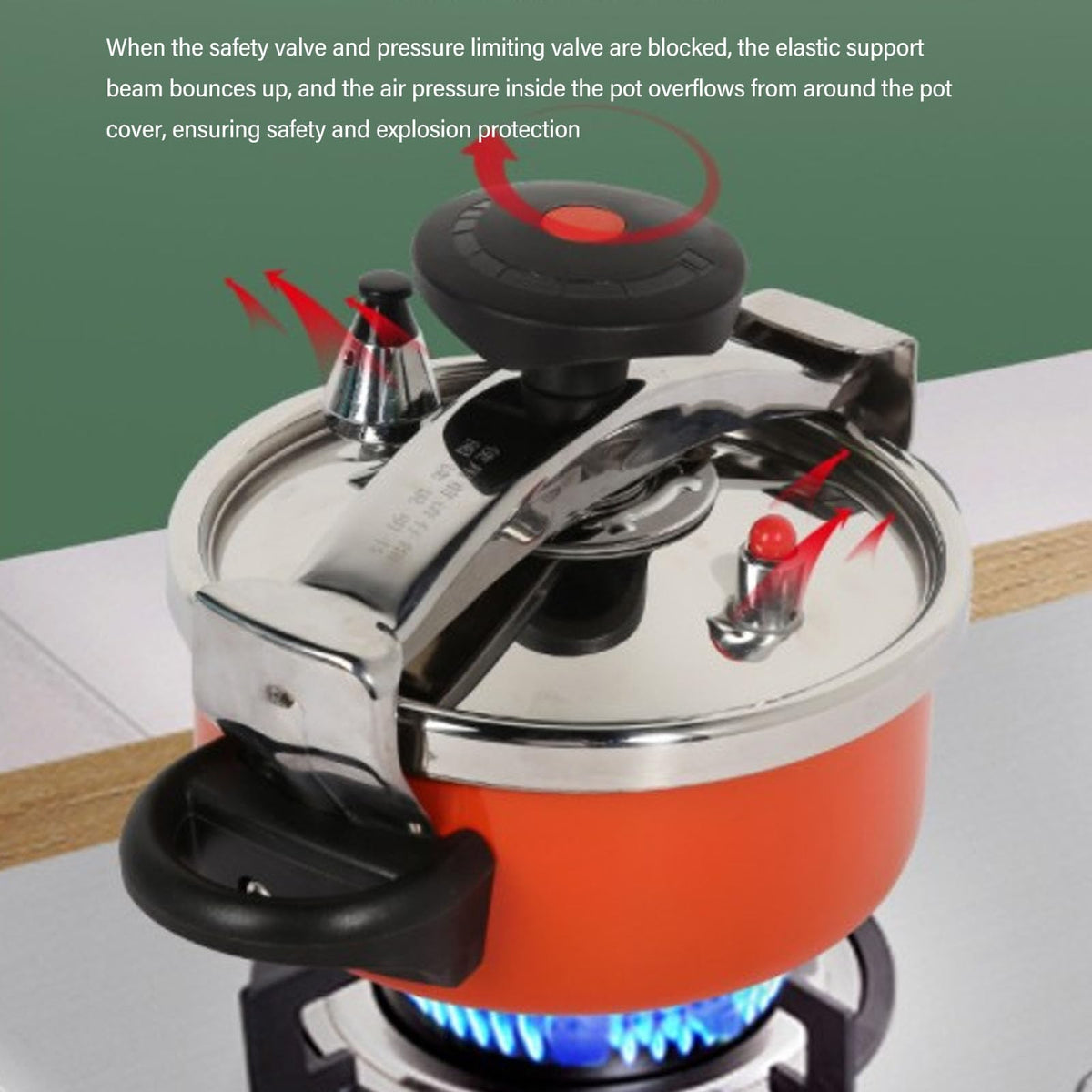 Stainless Steel Pressure Cooker Canner K9060