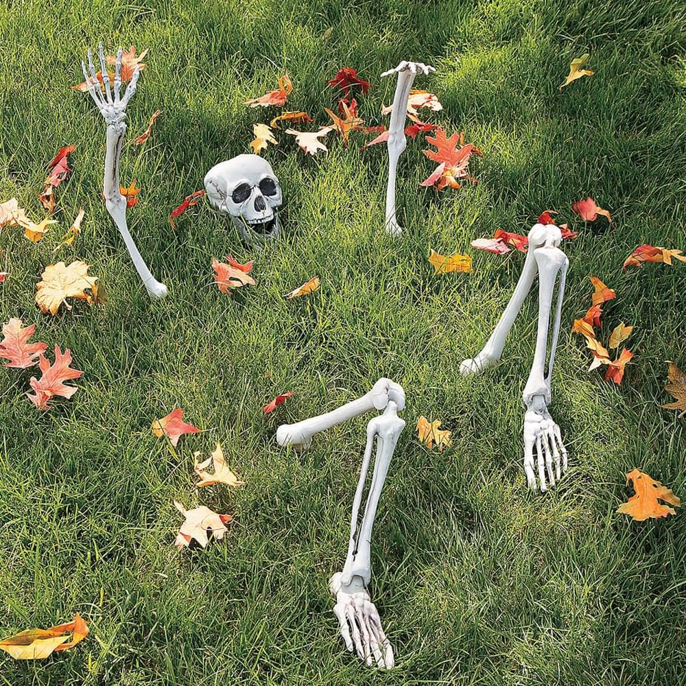 Life-Size Skeleton Halloween Decoration E98776