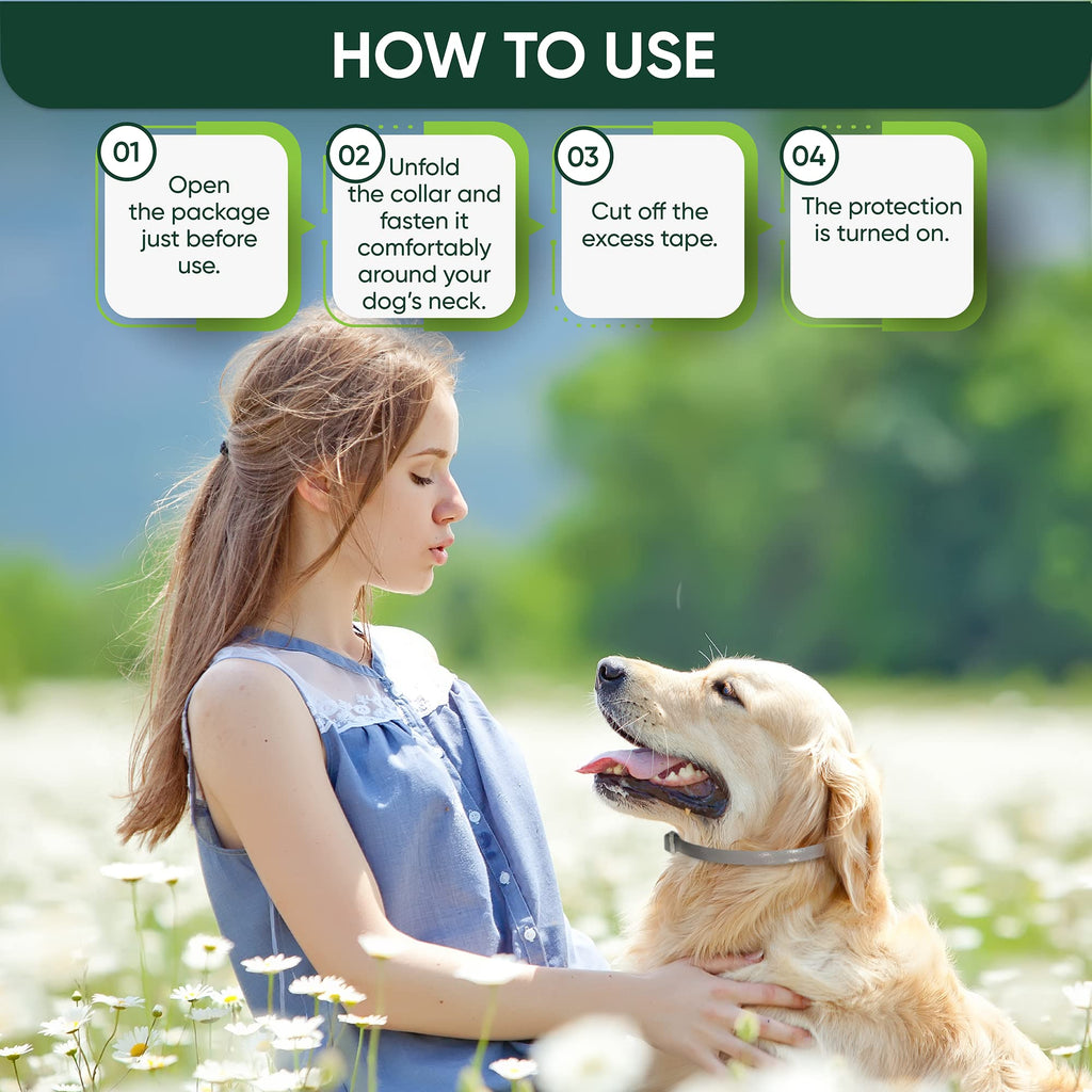 Adjustable Flea and Tick Prevention Dog Collar J348