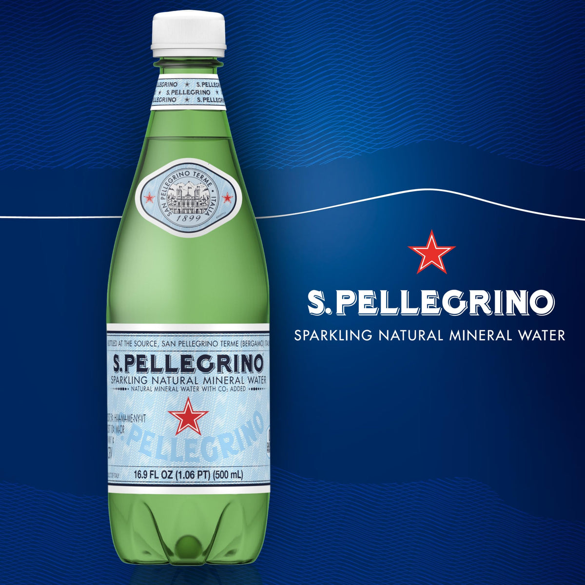 Sparkling Natural Mineral Water 16.9 Fl Oz Pack of 12 H972034