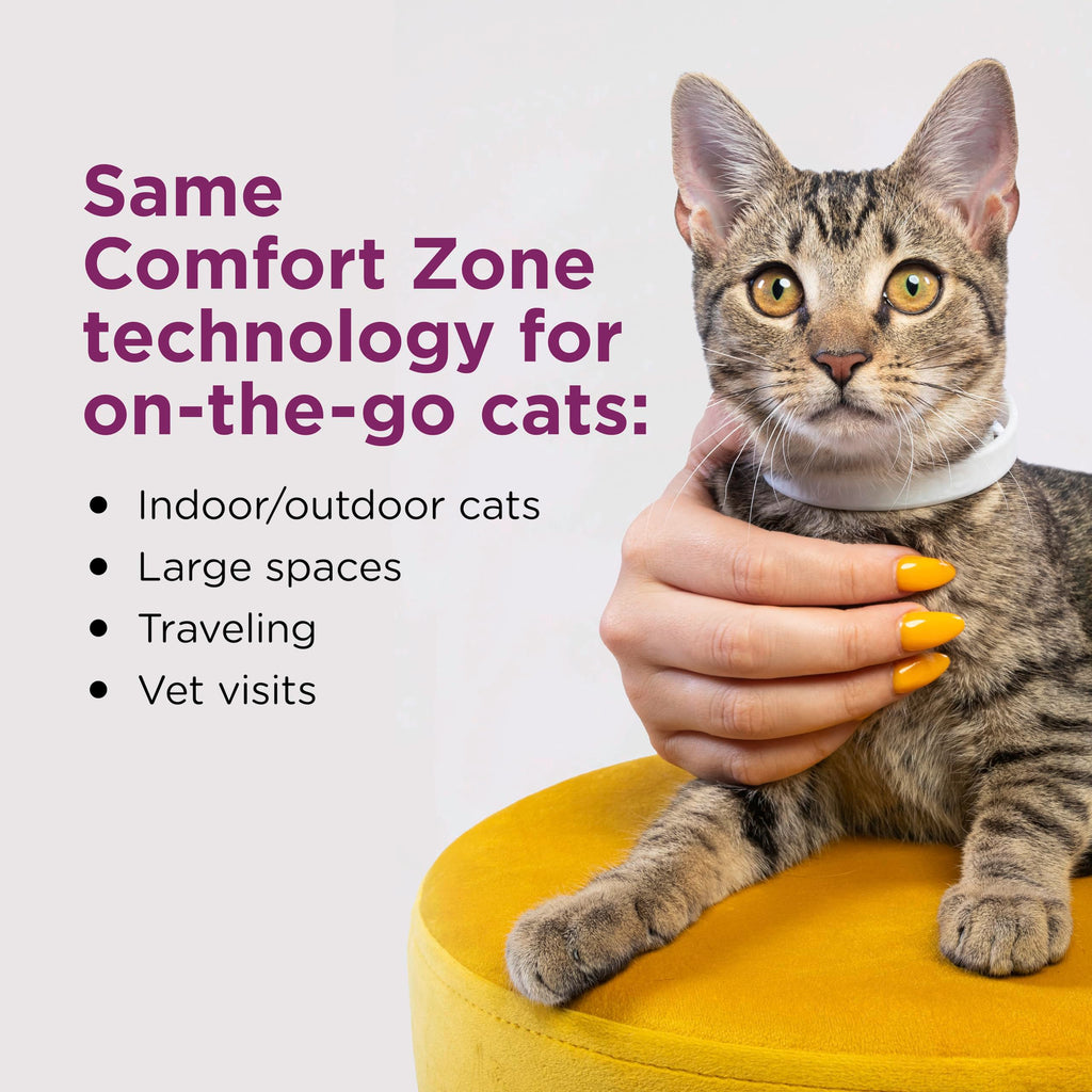 Cat Calming Collar 2 Pack Z970