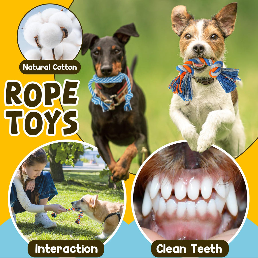 9 Pack Puppy Chew Toys with Rope Q397